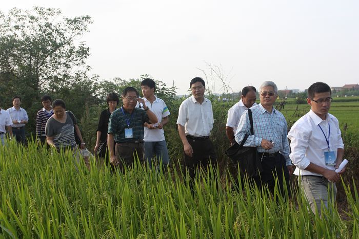 參觀我校水稻優(yōu)質(zhì)高產(chǎn)栽培技術(shù)實(shí)驗(yàn)研究與示范基地